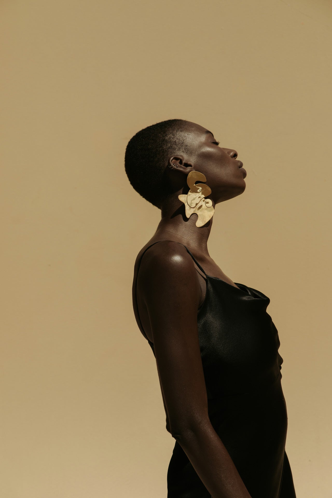 Curves & Swerves Earring