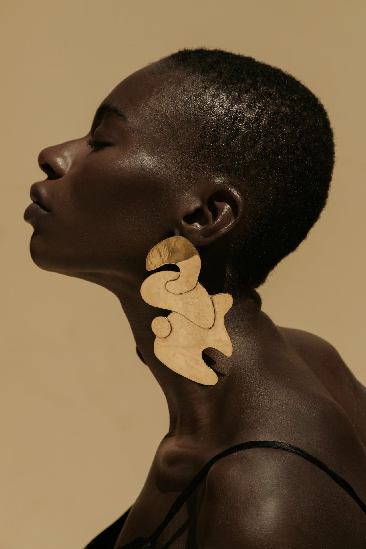 Curves & Swerves Earring