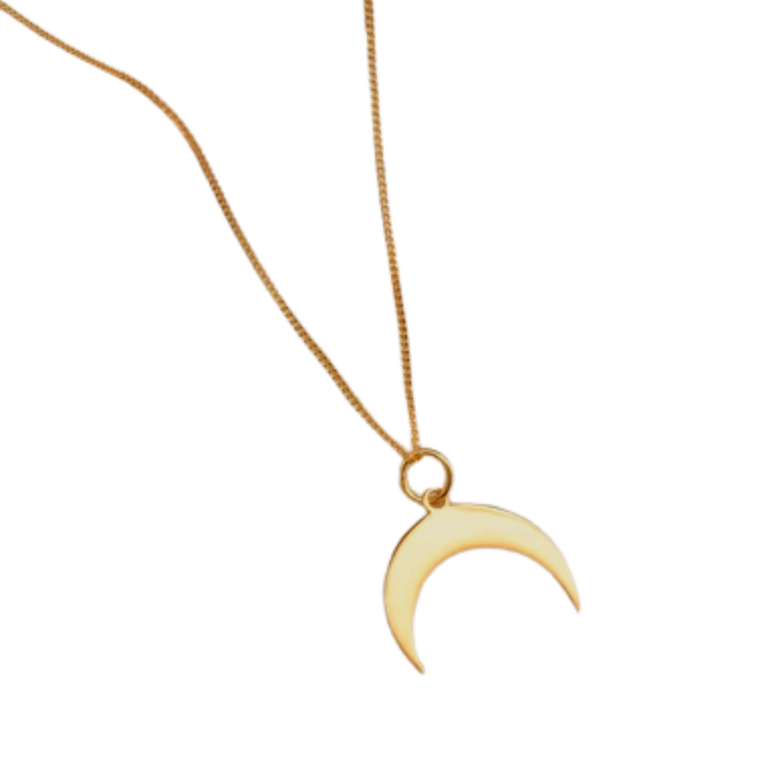 Can’t Fight the Moonlight Necklace