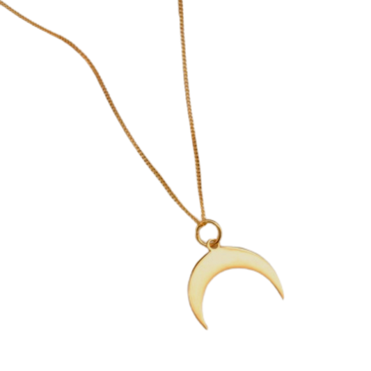 Can’t Fight the Moonlight Necklace